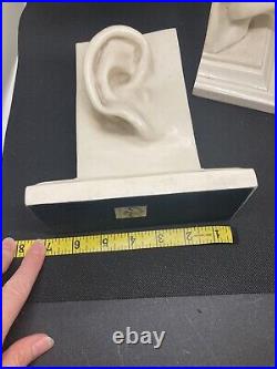 PAIR OF EAR & NOSE BOOKENDS BY C2C DESIGNS Great ENT Doctor gift