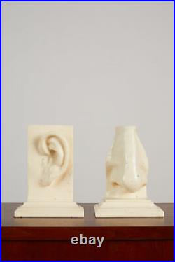 Pair Of Ear & Nose Bookends By C2c Designs